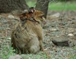DSC_2933.JPG