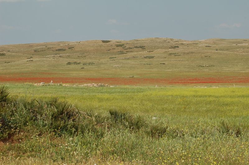 DSC_2938.JPG