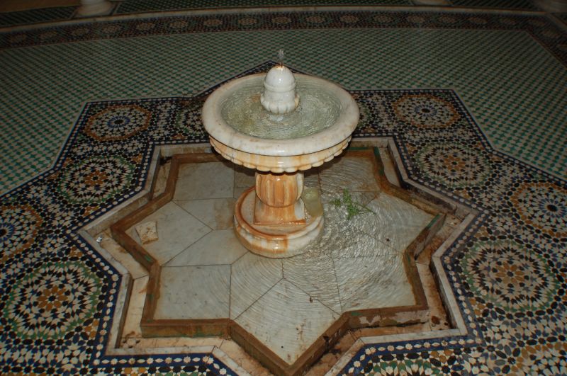 DSC_3269.JPG