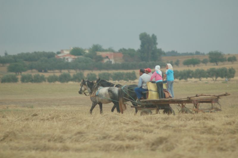 DSC_3581.JPG