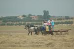 DSC_3581.JPG