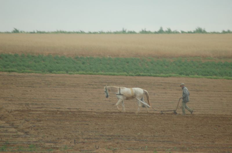DSC_3582.JPG