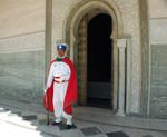 DSC_3672.JPG