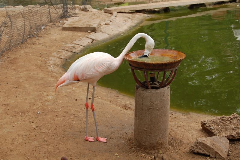 DSC_9989.JPG