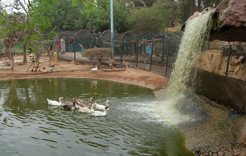 DSC_9990.JPG