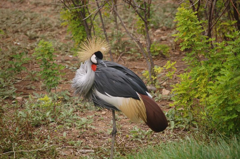 DSC_9993.JPG