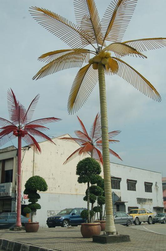 DSC_8109.JPG