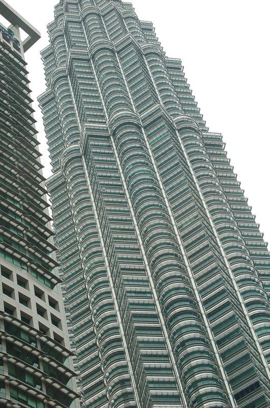 DSC_7508.JPG