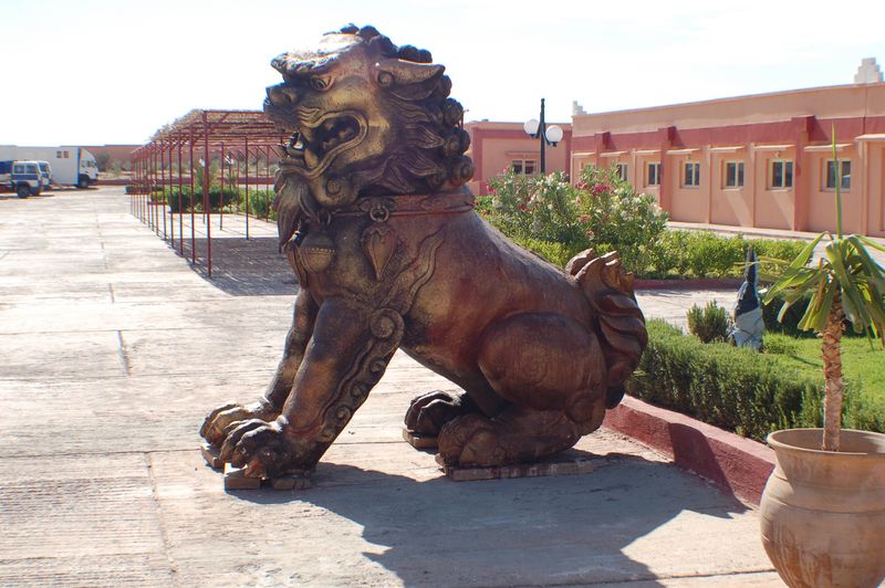 DSC_1664.JPG