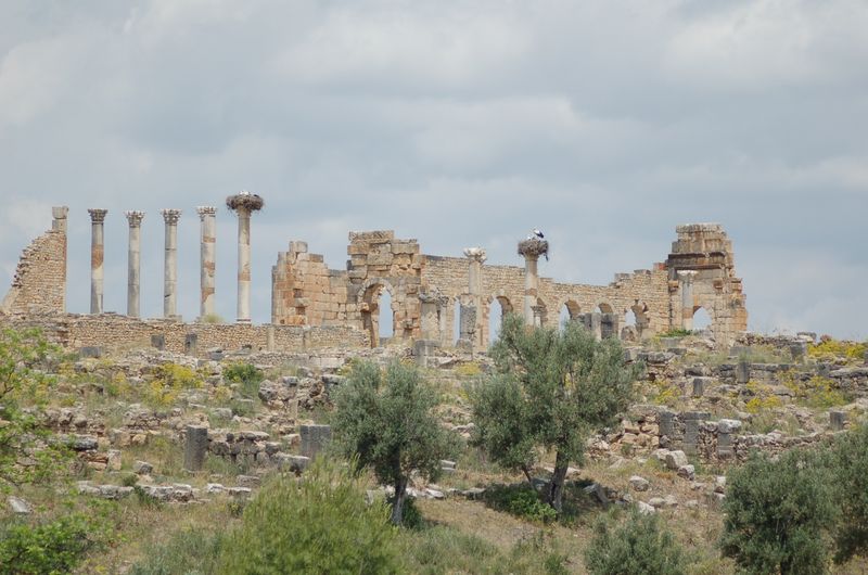 DSC_3012.JPG