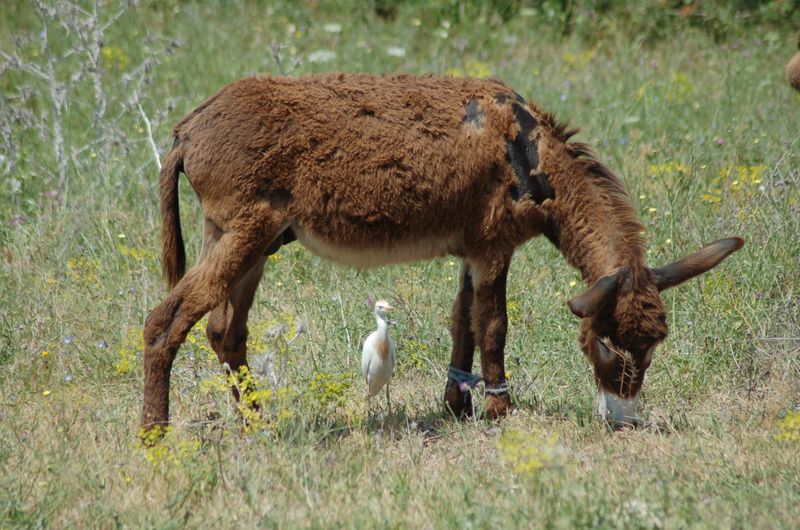 DSC_3016.JPG
