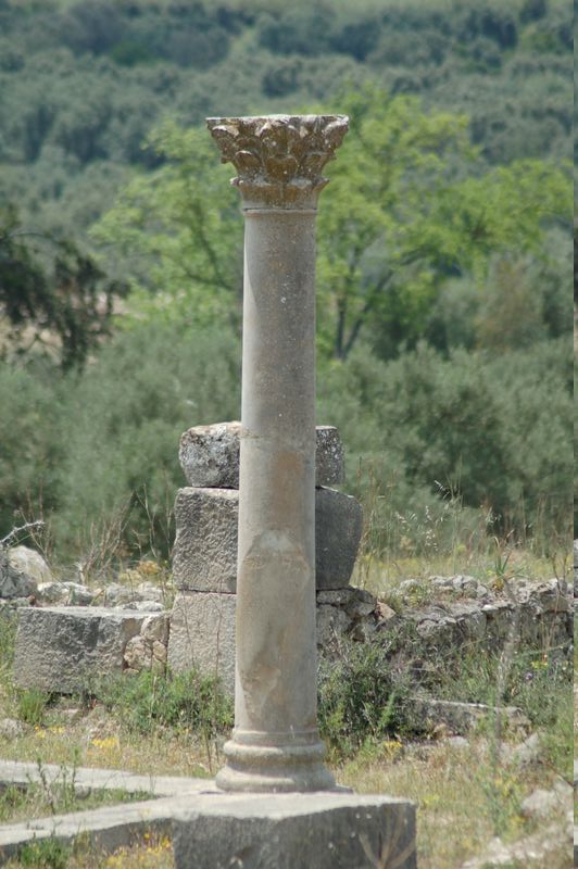 DSC_3039.JPG