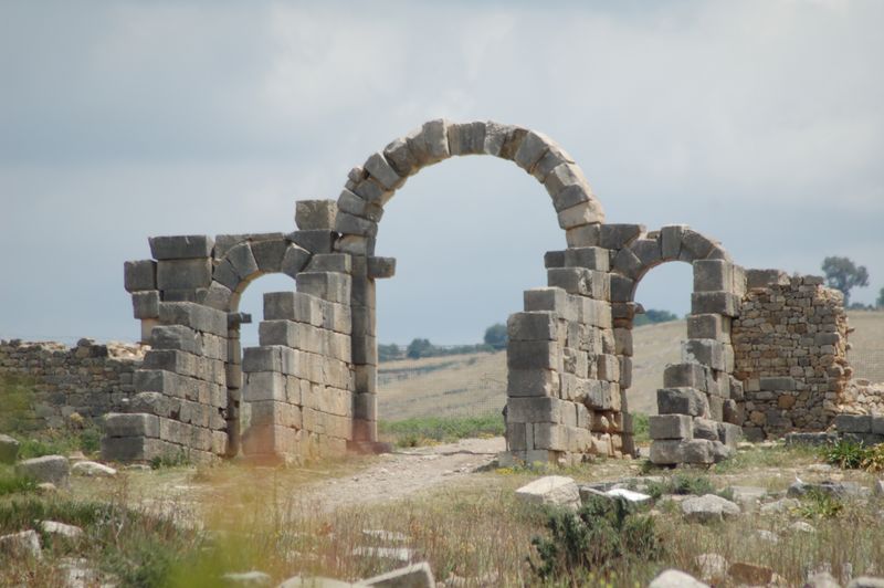 DSC_3050.JPG