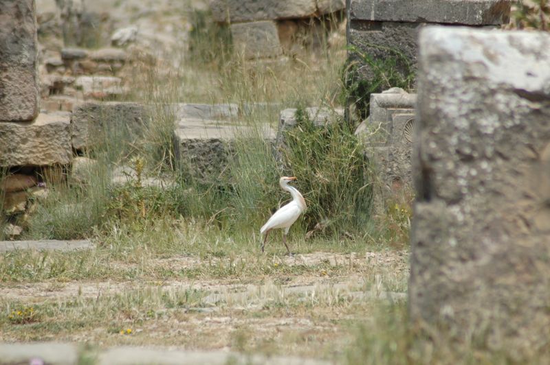 DSC_3059.JPG