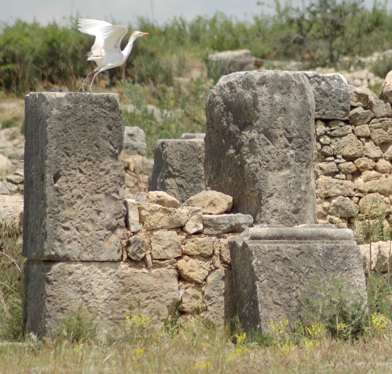 DSC_3064.JPG