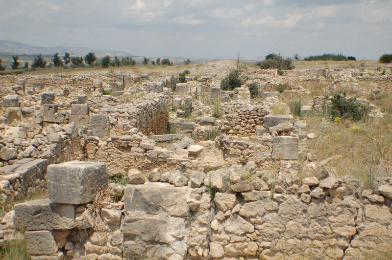 DSC_3080.JPG