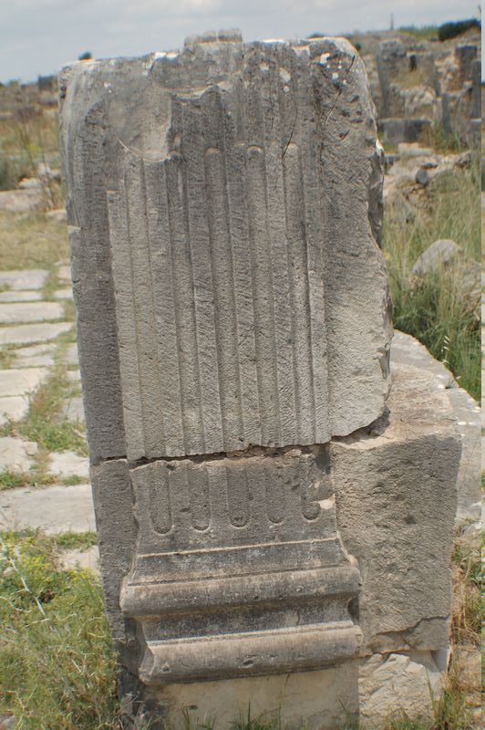 DSC_3085.JPG