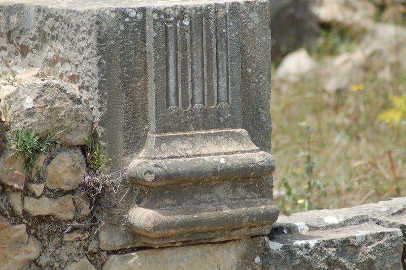 DSC_3101.JPG