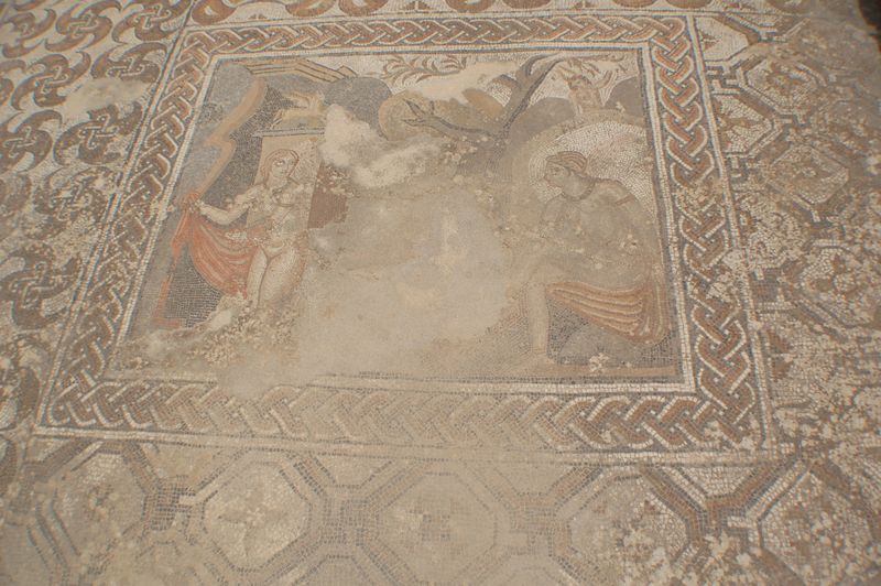 DSC_3116.JPG