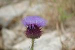 DSC_3146.JPG