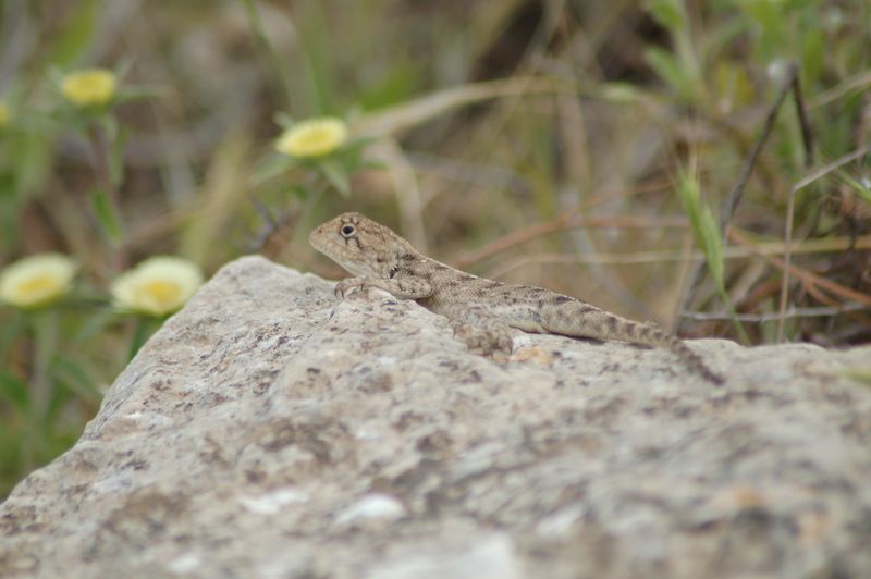 DSC_3212.JPG