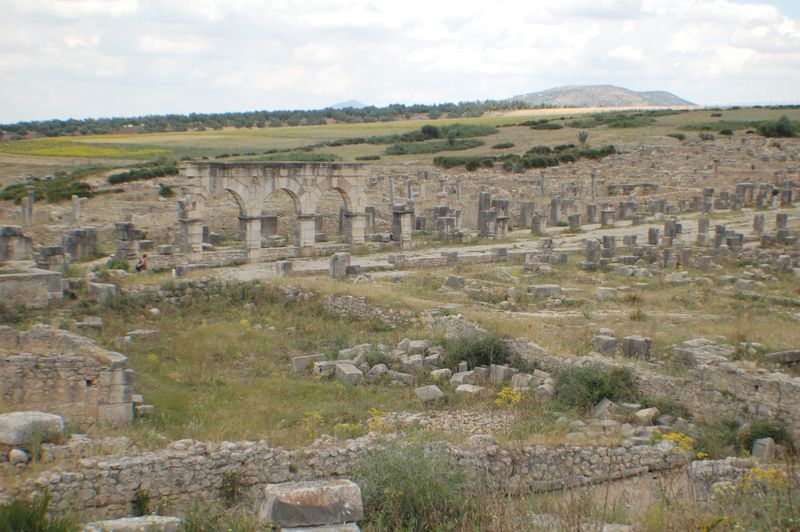 DSC_3216.JPG