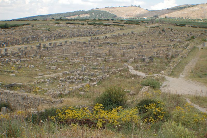 DSC_3217.JPG