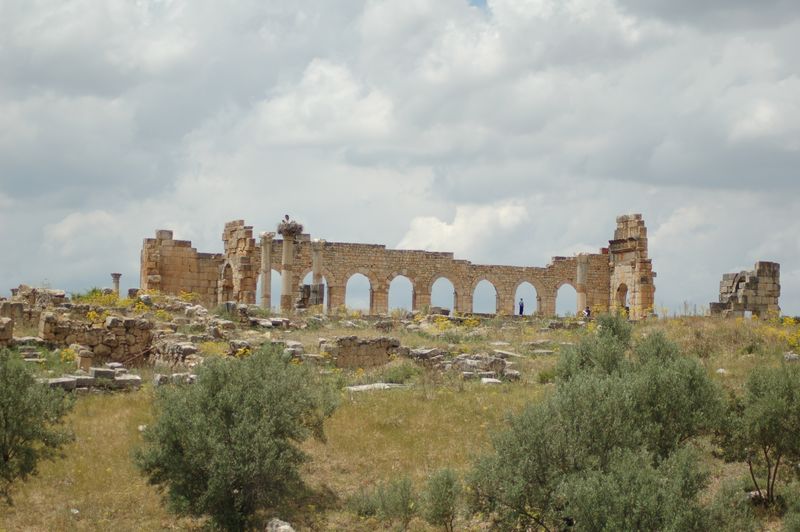 DSC_3247.JPG