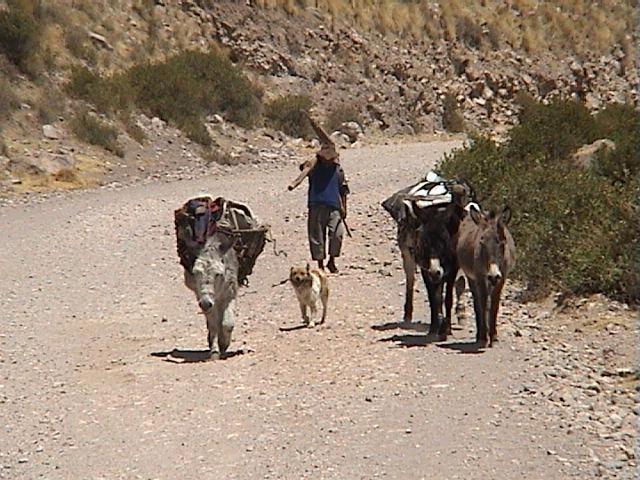 DSC00498
