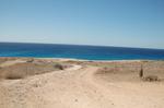 dsc_00010.JPG