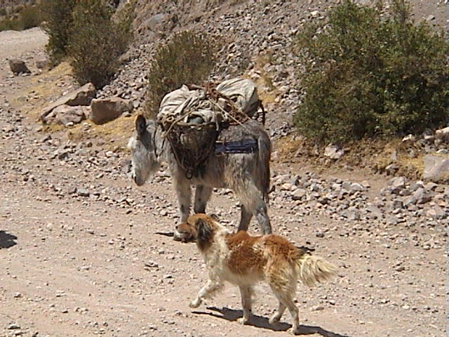 DSC00500