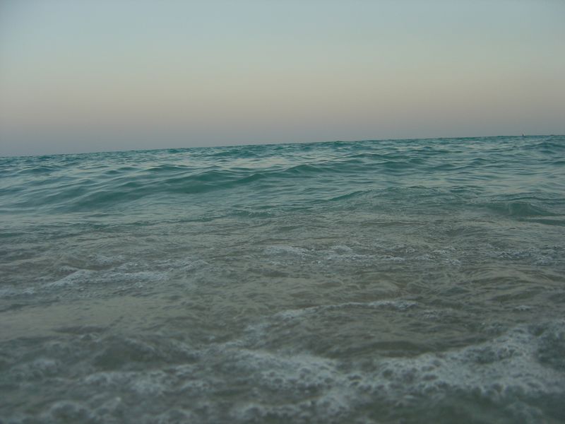 dsc_00123.JPG