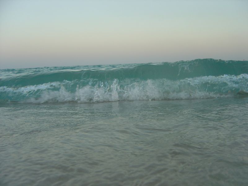 dsc_00124.JPG