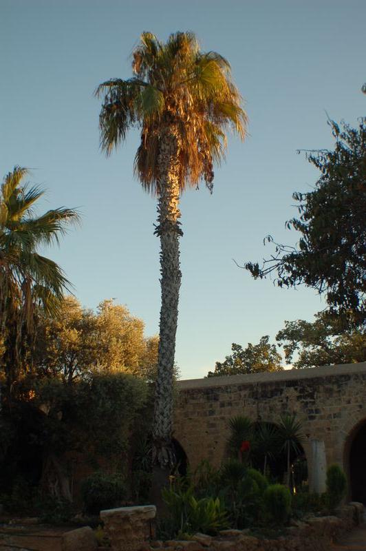 dsc_00012.JPG