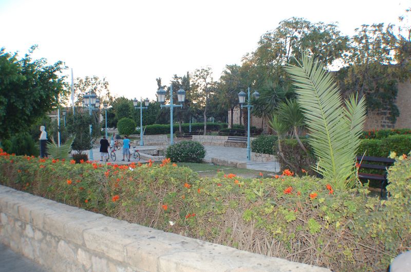 dsc_00017.JPG