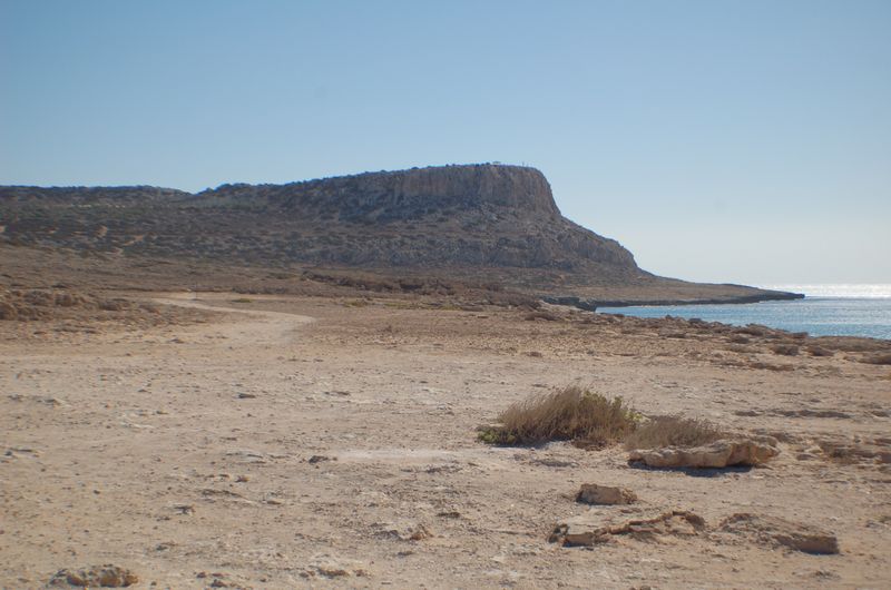 dsc_00025.JPG