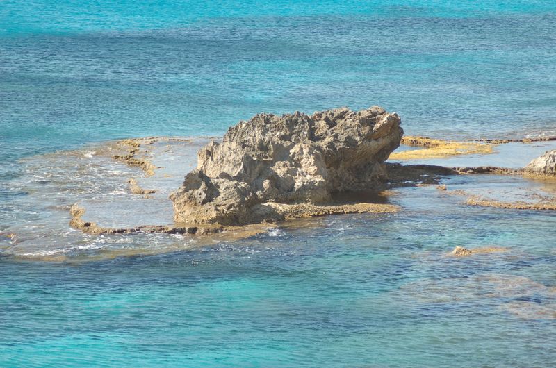 dsc_00028.JPG
