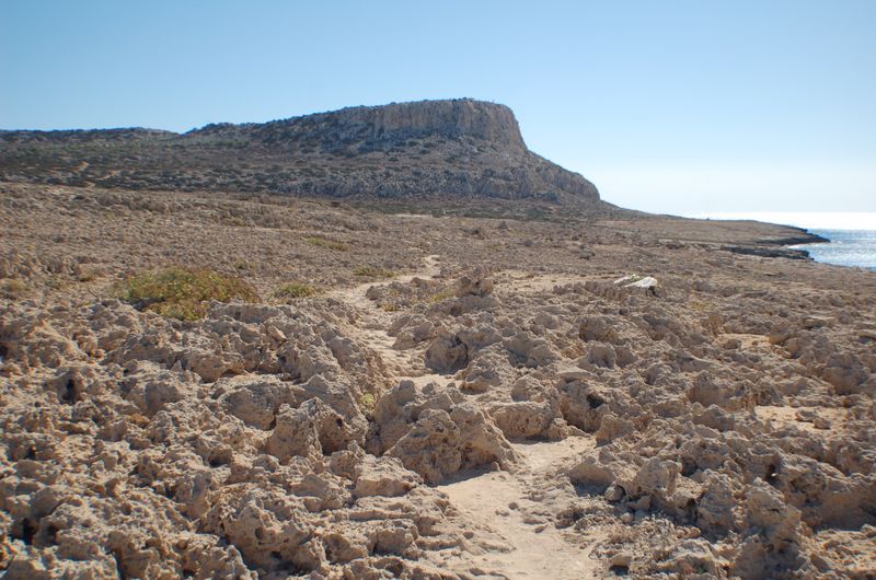 dsc_00035.JPG