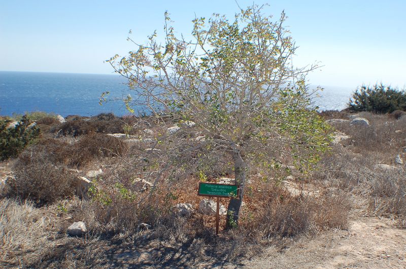 dsc_00066.JPG