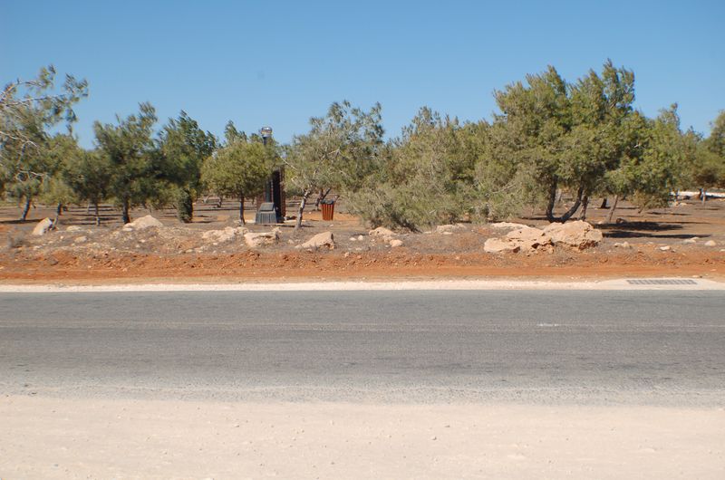dsc_00070.JPG