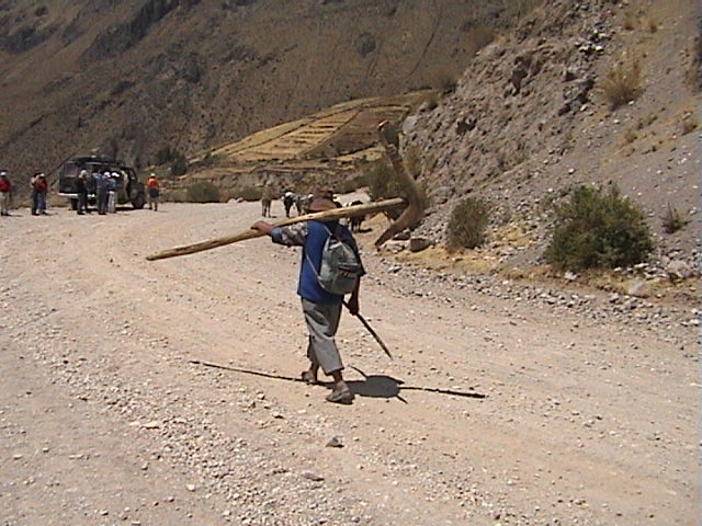 DSC00501
