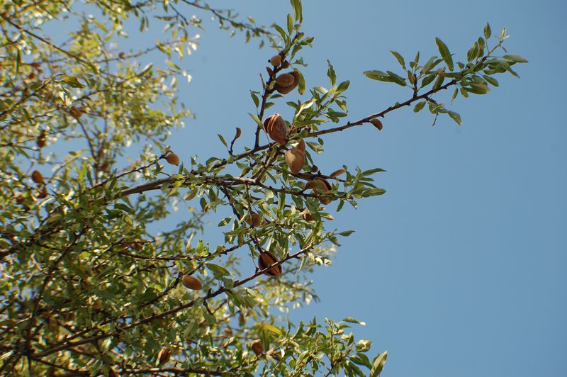 dsc_00112.JPG