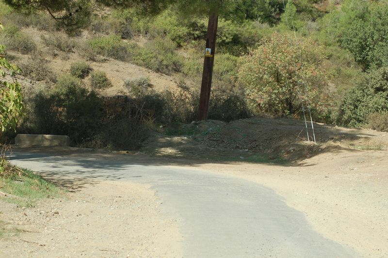 dsc_00163.JPG