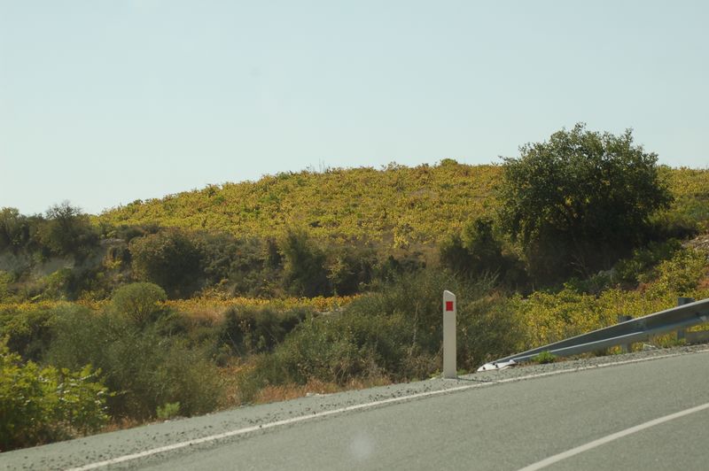 dsc_00164.JPG