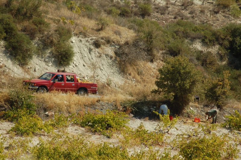 dsc_00165.JPG