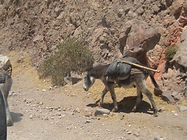 DSC00502