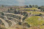 dsc_00194.JPG