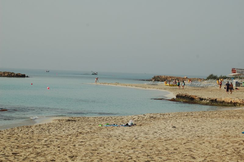 dsc_00259.JPG