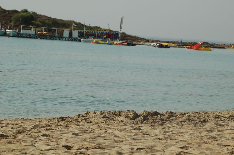 dsc_00260.JPG