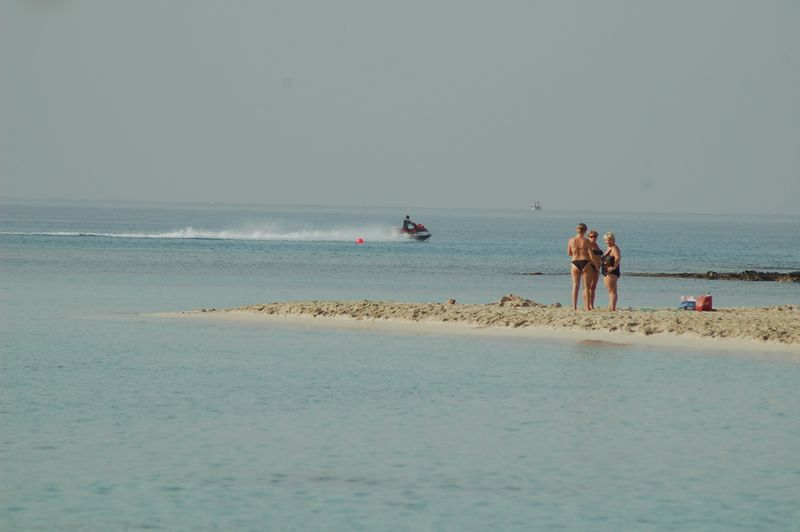 dsc_00263.JPG